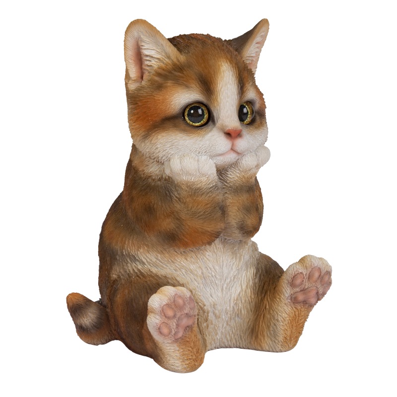 �˾��Ĥ������ȥ���ǭ