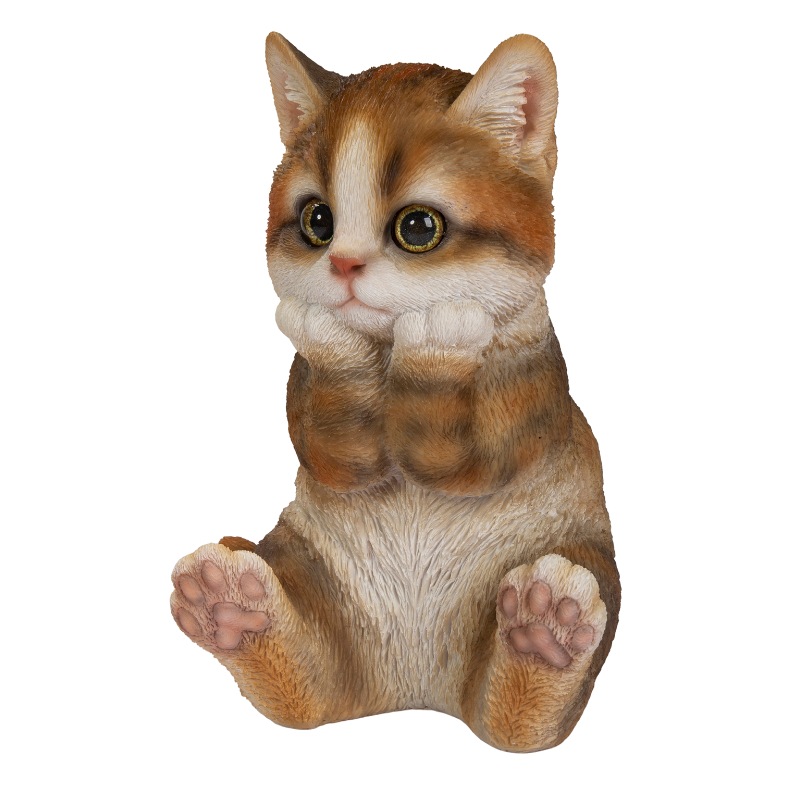 �˾��Ĥ������ȥ���ǭ