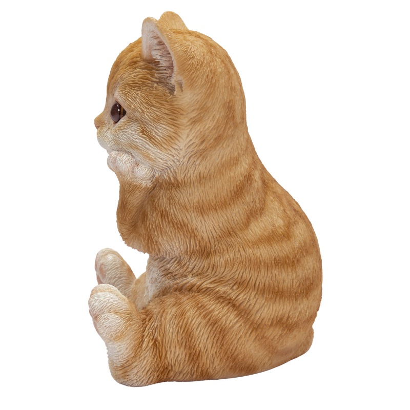 �˾��Ĥ���ȥ�ǭ