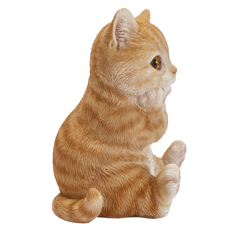 �˾��Ĥ���ȥ�ǭ