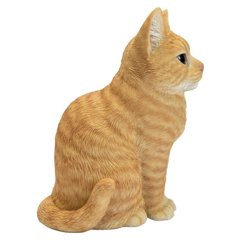 ���¤�֥�ƥ��å��奷�硼�ȥإ�����ȥ�ʾ���