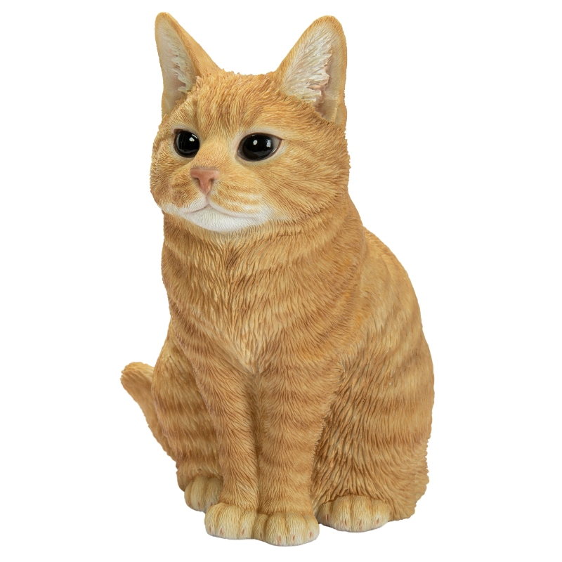 ���¤�֥�ƥ��å��奷�硼�ȥإ�����ȥ�ʾ���