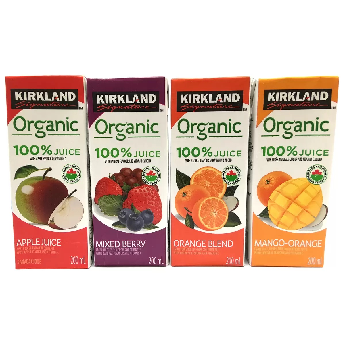 ڥȥΡۥɥͥ㡼 ˥å100%塼 200ml x 40