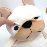 ����֤롡L������