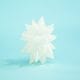 MY GHOST HEDGEHOG��3rd