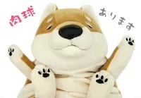 ������̡ʼƸ���L������