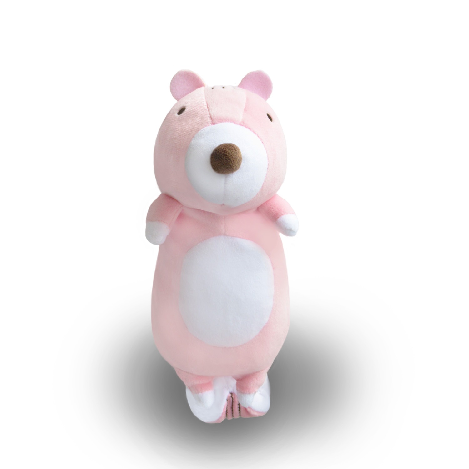 2025ǯ1215ȯۤޥꥹޥݡ