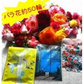 バラ風呂セット(花約50輪) ・・・自宅でバラ風呂・セレブな気分