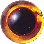 󥰥å奰饹 ߥǥȥѡ