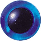 ���󥰥�å��奰�饹���� �饤�ȥ�����