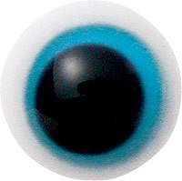 󥰥å奰饹 ݥܥ֥롼