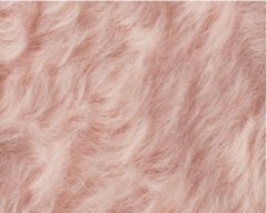 �����꡼��إ� ����ƥ������ԥ�