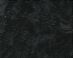 �����꡼��إ� �֥�å�