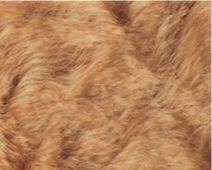 �ǥ����ȥ쥹��إ� �ϥˡ��������