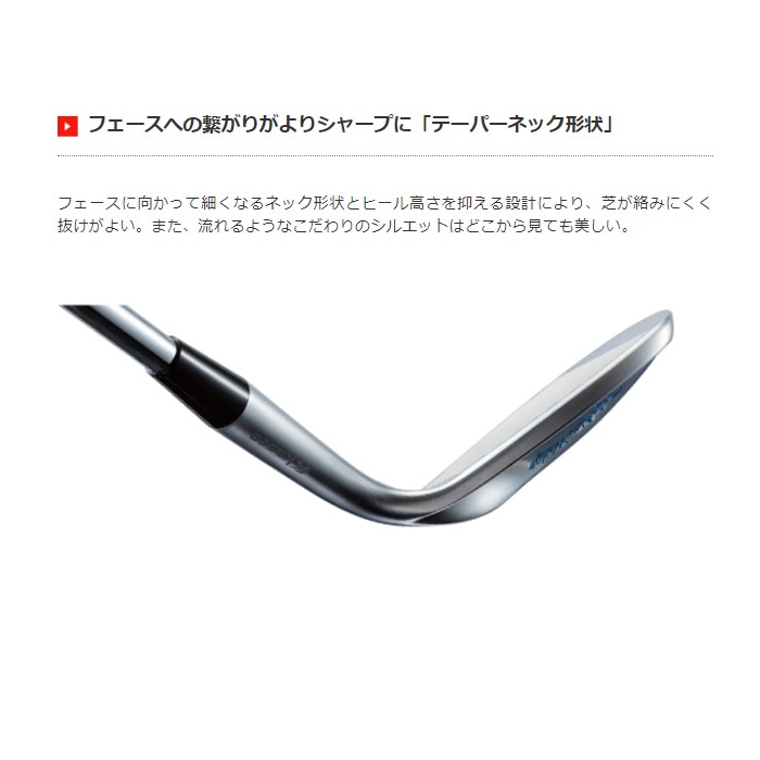 Kasco DW-116 ストレートネック ヘッドのみ キャスコ ドルフィン