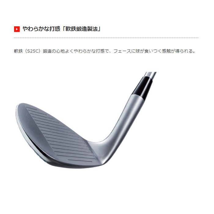 Kasco DW-116 ストレートネック ヘッドのみ キャスコ ドルフィン