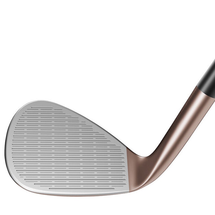 ARTISAN 58° ウェッジ ゴルフクラブ DGs200 ARTISAN 58° ウェッジ ゴルフクラブ DGs200 ARTISAN 58° ウェッジ