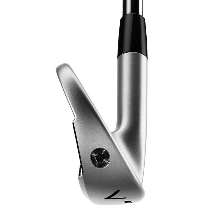 テーラーメイド NEW P770 アイアン 4-PWセット DG EX Tour Issue装着