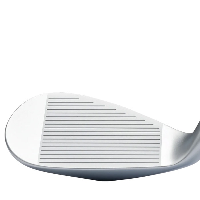 ヘッド単体】Kasco DOLPHIN WEDGE DW-123 キャスコ ドルフィン