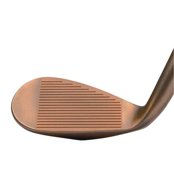 ヘッド単体】Kasco DOLPHIN WEDGE DW-123 Copper キャスコ ドルフィン