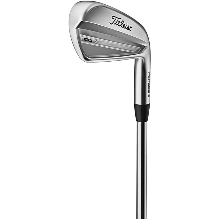 ちちを　Titleist T100アイアンセット 5-9 PW arigaen_016-23-t100-6idg