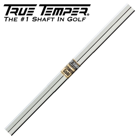 【蔵出し特価】トゥルーテンパー ダイナミックゴールド アイアン用 R200 2-9/8本セット TRUETEMPER Dynamicgold