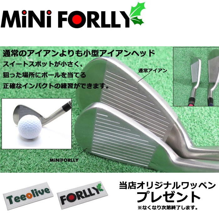 ボールを打てるスイング練習アイアン mini FORLLY 各番手にFLEX
