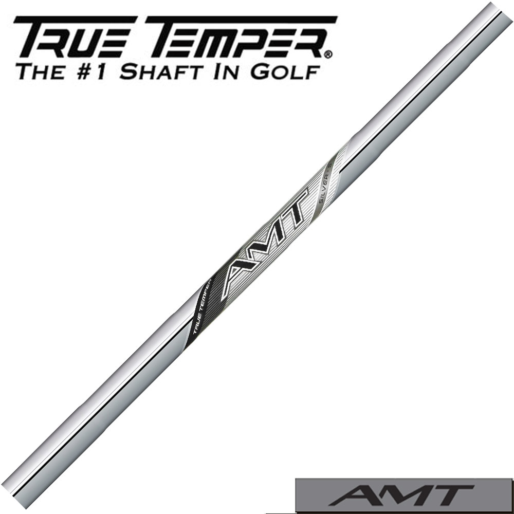 トゥルーテンパー TRUE TEMPER 2025年モデル AMT SILVER AMT