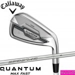 Callaway Quantum Max Fast Womens IRON キャロウェイ クァンタム マックスファスト ウィメンズ アイアン SPDSTAR装着 