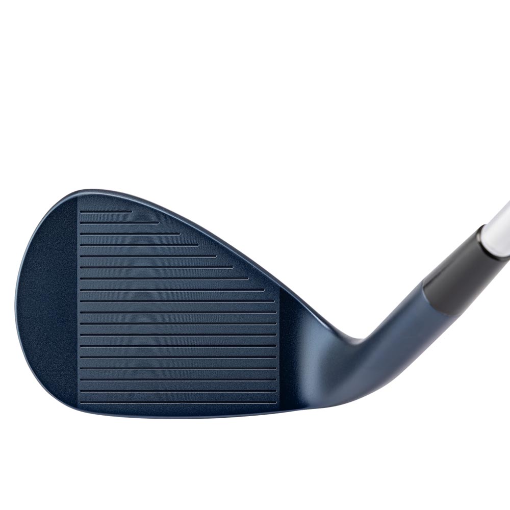 ヘッド単体】Kasco DOLPHIN WEDGE DW-125G MidnightBlueキャスコ
