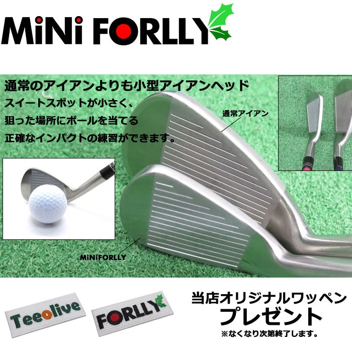 ボールを打てるスイング練習アイアン mini FORLLY 各番手にFLEX