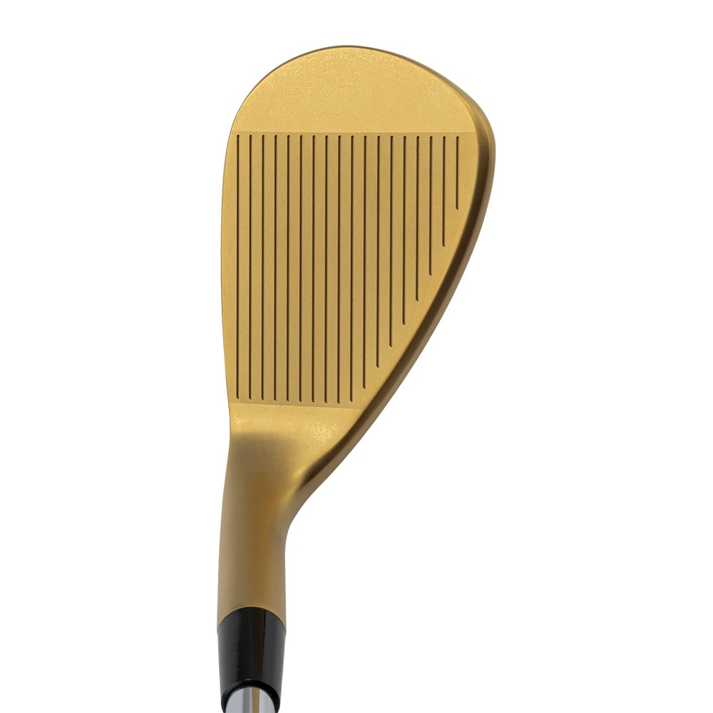 ヘッド単体】Kasco DOLPHIN WEDGE DW-123 Gold キャスコ ドルフィン