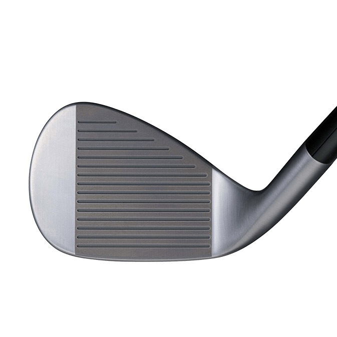【カスタム特注品】ブリヂストン BITING SPIN WEDGE ノーメッキ DGHTS200 BRIDGESTONE バイティングスピンウェッジ