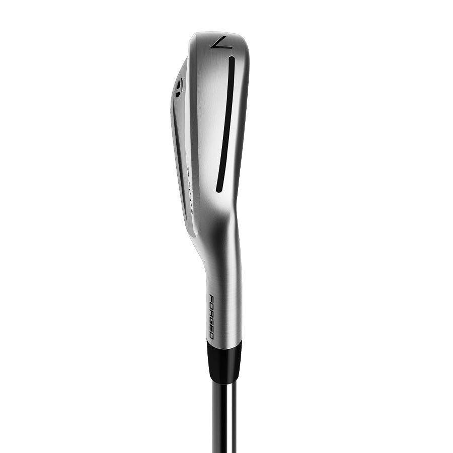 テーラーメイド 2023 P770 アイアン 5-PWセット Dynamic Gold EX Tour 