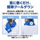 ダイヤゴルフ AS-4018 保冷持続ネッククーラー 暑さ対策 氷嚢 氷のう 首に巻くタイプの氷のう 