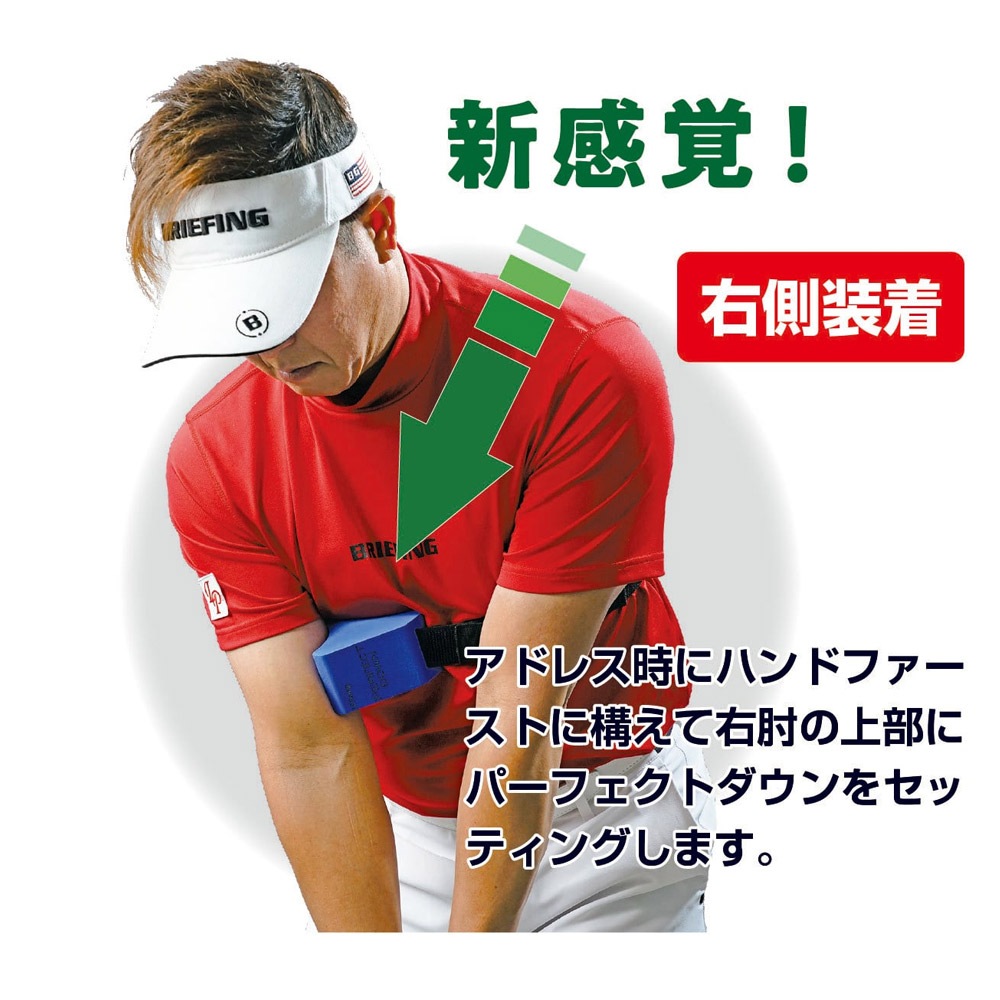 LPSwing PERFECT DOWN パーフェクトダウン ツアープロコーチ吉田直樹 監修 スイング練習機 
