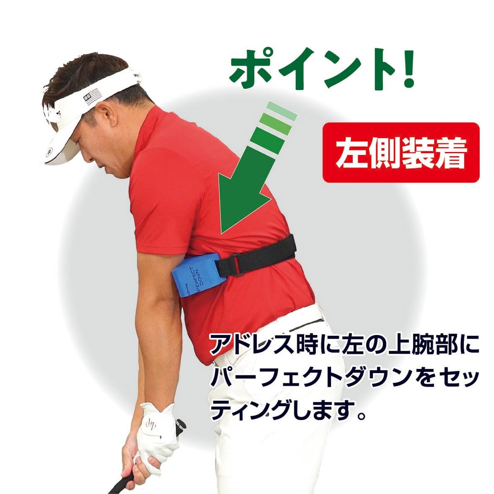 LPSwing PERFECT DOWN パーフェクトダウン ツアープロコーチ吉田直樹 監修 スイング練習機 