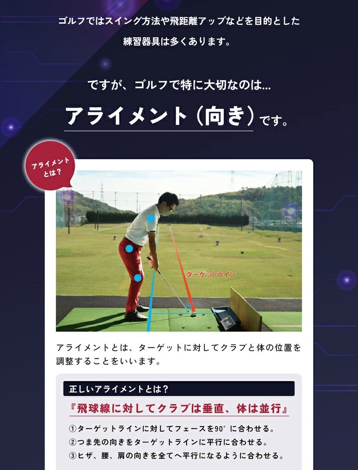 リンクス エイミングビュー Lynx エイミングビュー XVIC AIMING VIEW エックスビック AI練習