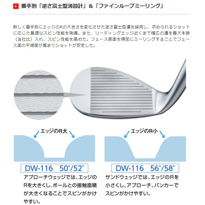 Kasco DW-116 ストレートネック ヘッドのみ キャスコ ドルフィン