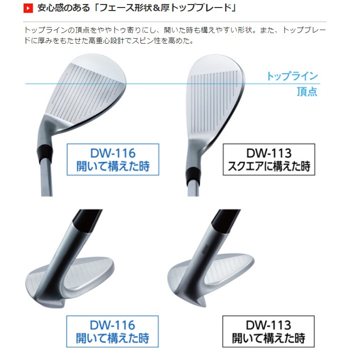 Kasco DW-116 ストレートネック ヘッドのみ キャスコ ドルフィン