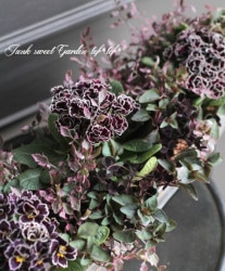 Ȭź餭ץ顦ꥢ󡡡إѡץ륨å١