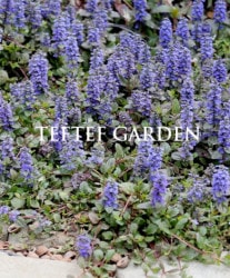 �����奬���إ������ޥۥ��ˡ��� �إޥۥ��ˡ���