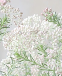 饤եإեȥԥ󥯡