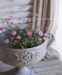 ɺ֥饭ࡡإѡץ륹ƥ