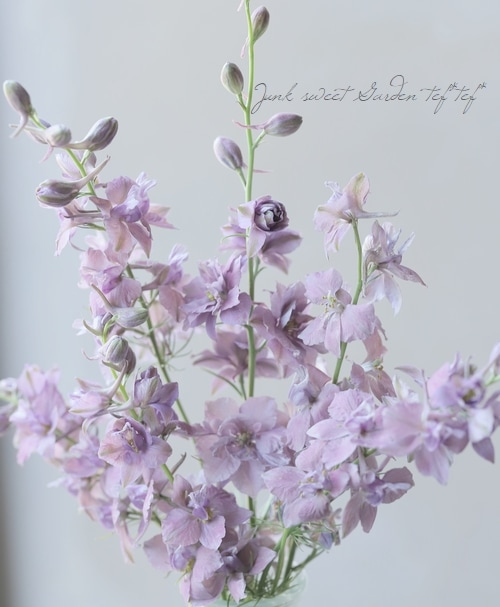 Ȭ�ź餭�顼�����ѡ� �إ����륰�쥤�� ���Ի׵Ŀ���