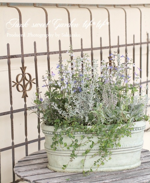 Tef Tef 寄せ植え Br 14 No 24 Br Br 妖精のお庭 寄せ植え Junk Sweet Garden Tef Tef