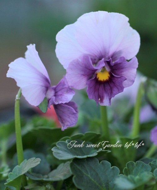 ビオラ Hitachi ZX 48 U 3 excavator specs & dimensions (2010 - 2013