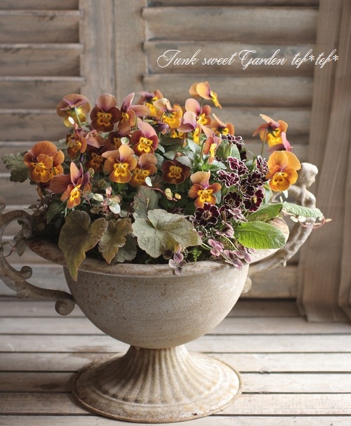 寄せ植えセット　ゆゆ様　ご注文　プティフール　ビオラ A must-see for beginners] Get the picnic feeling with a basket