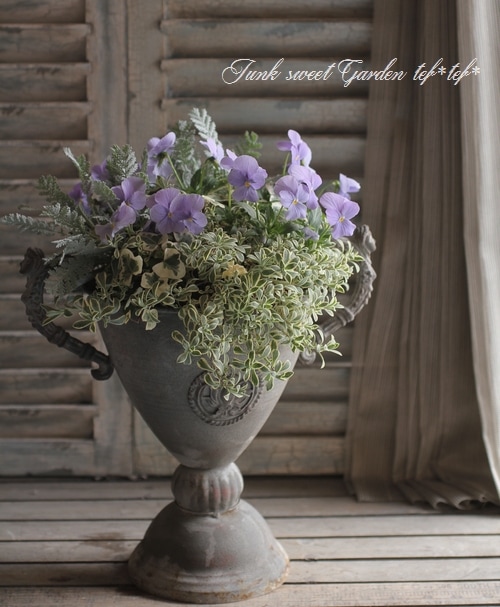 f.florist様 tef*tef*寄せ植え<BR>>2015 * no.6 *<BR><BR>ビオラ『ヘブンリーブルー