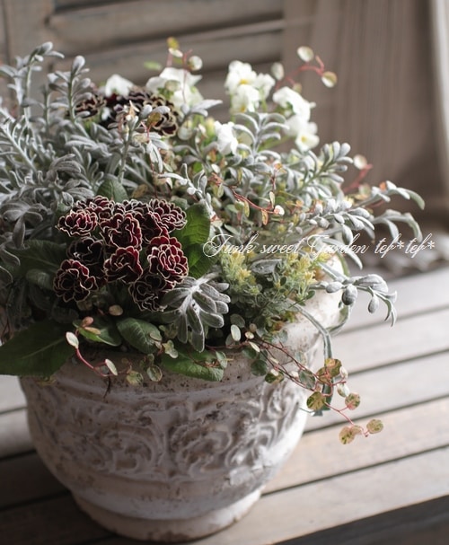 tef*tef*寄せ植え<BR>>2015 * no.9 *<BR><BR>八重プリムラ×白ビオラ